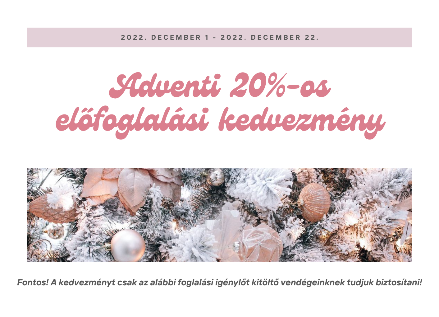 Red and Pink Simple Christmas Newsletter (3)